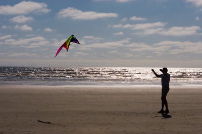 Steve flying a kite