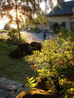 Gardens in late afternoon sun