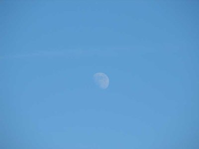 moon-in-the-sky2.jpg