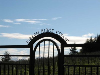 ribbon-ridge-vineyard.jpg
