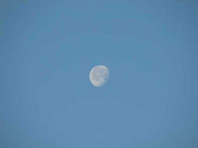 monday-morning-moon.jpg