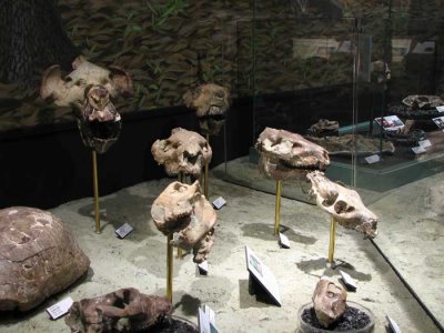 bunch-of-heads2.jpg