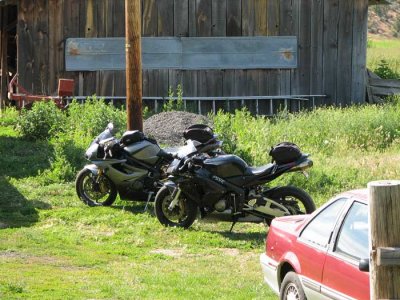 liv-sas-bikes-wilson.jpg