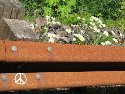 peace-and-flowers.jpg