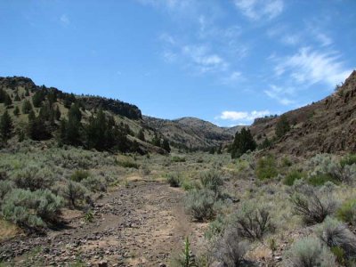 rowe-cr-rd-view.jpg