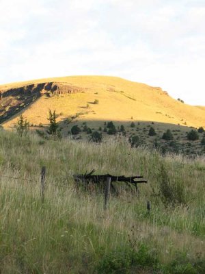 sunlit-hill.jpg