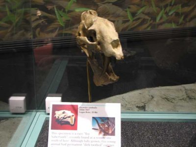 toy-sabertooth.jpg