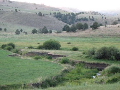 wilson-creek.jpg