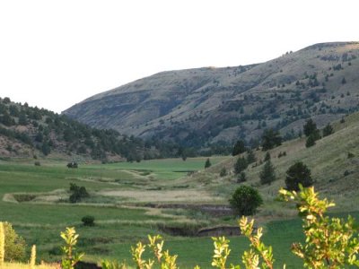 wilson-valley.jpg