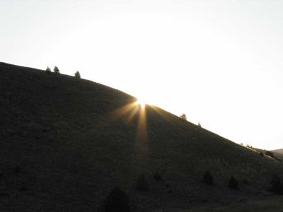 fossil-sunrise3.jpg