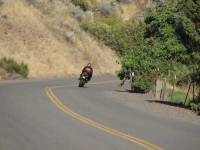 motocow-218.jpg