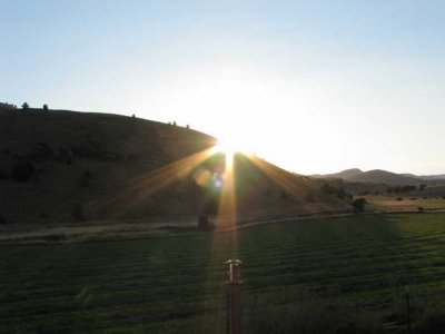 fossil-sunrise4.jpg
