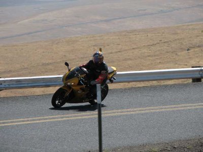 motocow-206-2.jpg