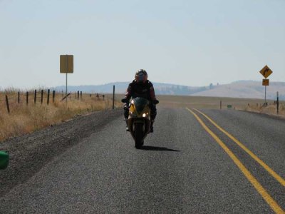 motocow-coming-up-206.jpg