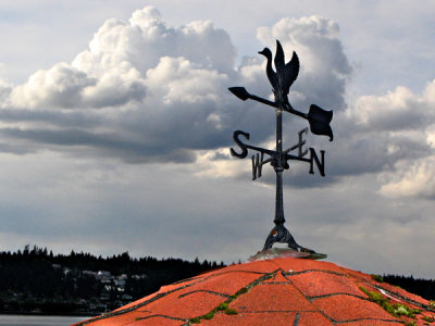 Weathervane, White Point