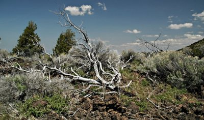 Susanville to Klamath Falls