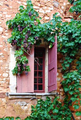 Window With Matching Grapes, Roussillon