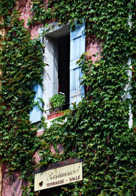 Window With Ivy, Roussillon