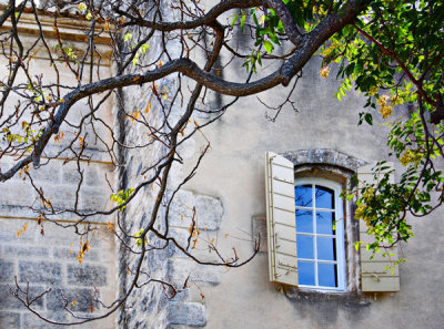 Window And Branch, Les Baux
