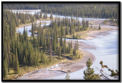 Athabasca River - Jasper National Park
