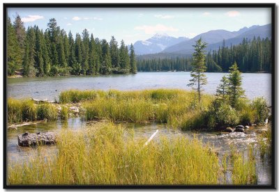 Beauvert Lake - Jasper National Park