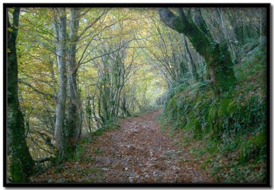 Sierra do Caurel. Lugo