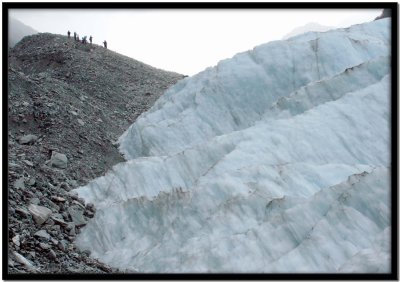 Glaciar Franz Josef