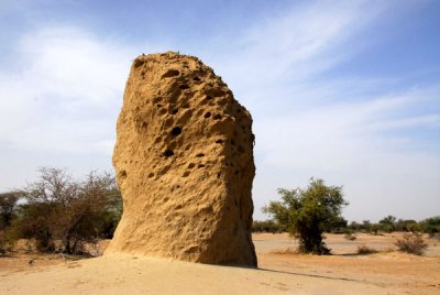 Termite mound