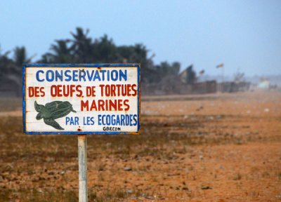 Conservation des oeufs de tortues marines, Grand Popo, Benin