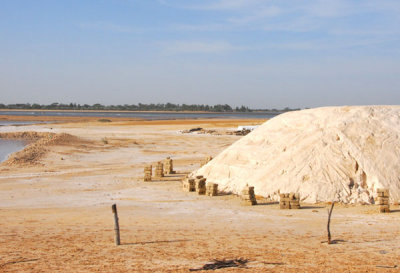 Salt recovered from the Siné-Saloum Salt Marshes near Fatick-Kaolack, Senegal