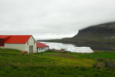 Farm at the end of the Berufjrur