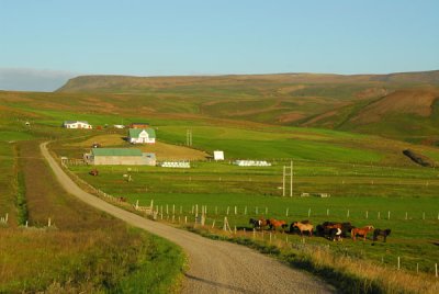 Steindalur farm, Rte 85, near Húsavík