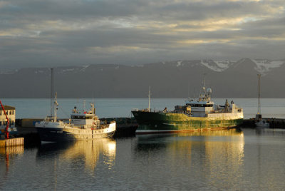 The harbor of Húsavík