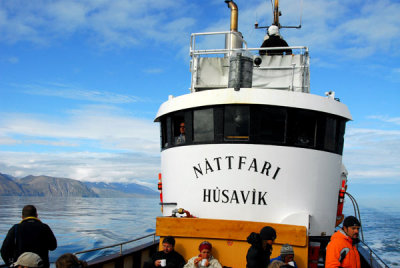 Whale watching on the Náttfari