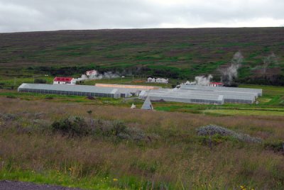 Geothermically heated greenhouses along Rte 87 south of Húsavík