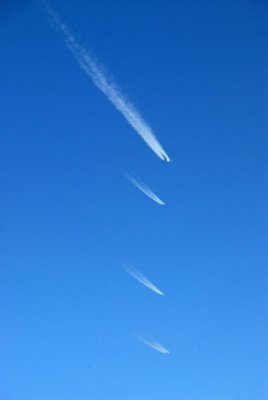 g6/93/329493/3/74151508.zMjlhxFv.jpg