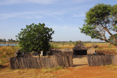 Senegalese kraal, near Tiadiaye