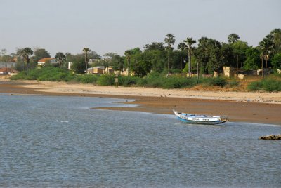 Salty Siné-Saloum River Estuary, Senegal