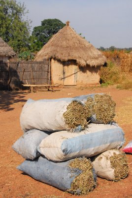 Bales of ??