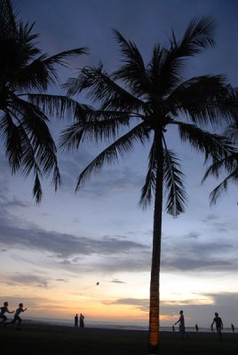 Silouette of a palm tree with boys playing soccer, Seminyak