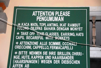 Heed the warnings about bad monkeies at Ulu Watu. One jumped up on me and stole the glasses right off my face!