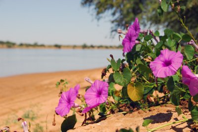 Bani River, Mali