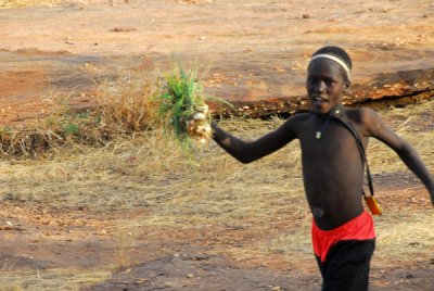 Dogon boy seeking to see onions