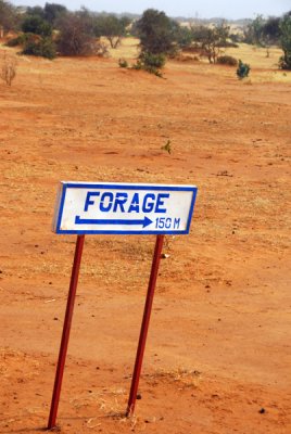 g6/93/329493/3/78053669.ZSdf2fep.jpg