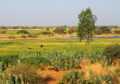 Niger River downstream from Gao