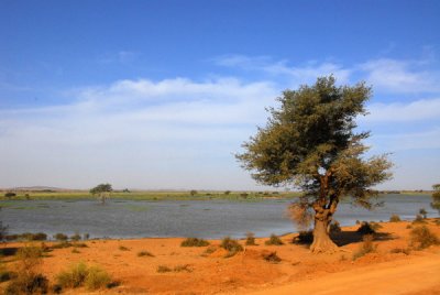 Niger River, Mali