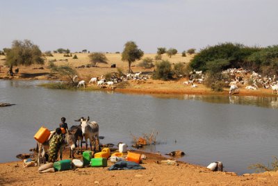 Filling jugs at a waterhole, Eastern Mali