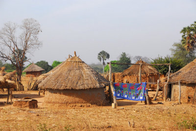 Dilia, Mali