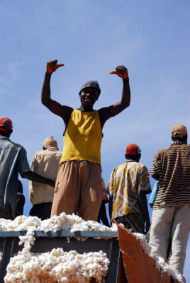 Packing the cotton, Mali