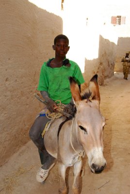 Young man on a donkey, Kotaka